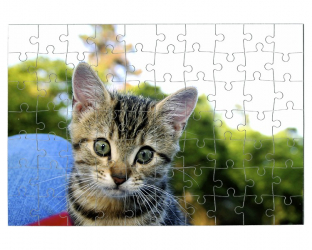 Puzzle 70 pièces à personnaliser avec une photo - Format paysage