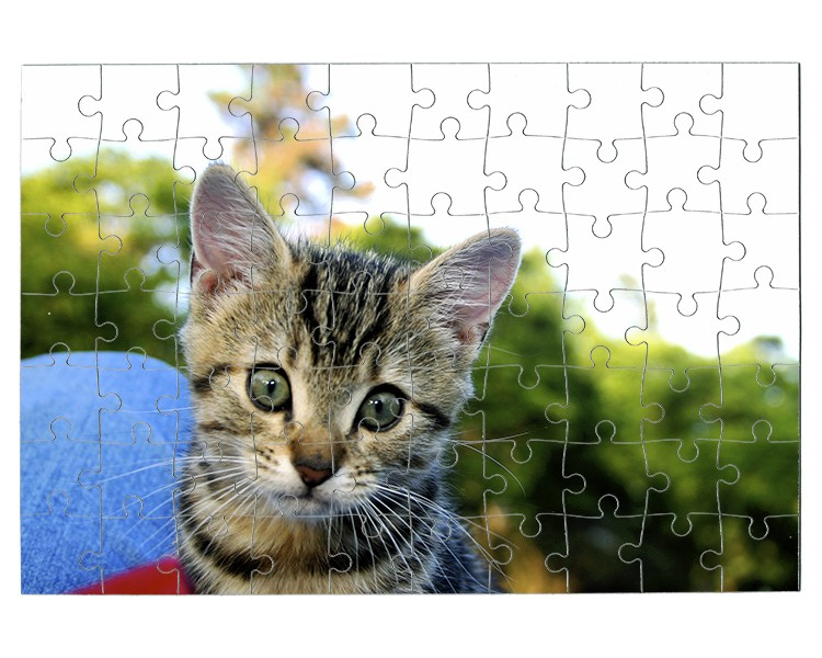 Puzzle personnalisé, Puzzle photo à -20%